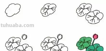 各种植物简笔画大全，小可爱们快来领走吧
