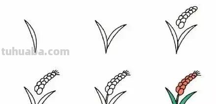 各种植物简笔画大全，小可爱们快来领走吧