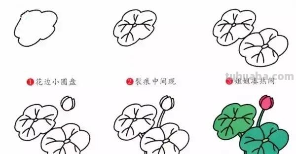 各种植物简笔画大全，小可爱们快来领走吧