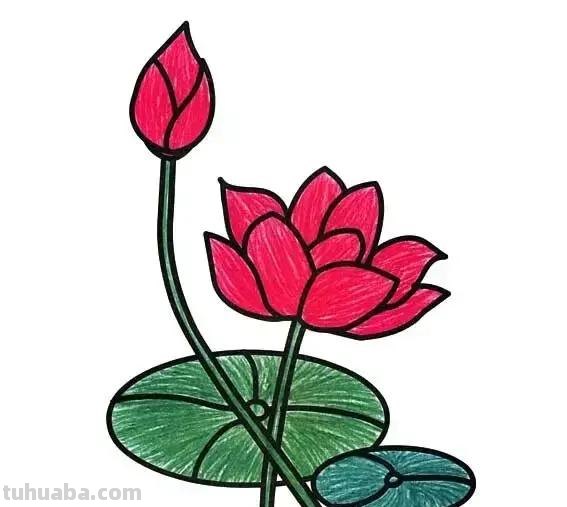 各种植物简笔画大全，小可爱们快来领走吧