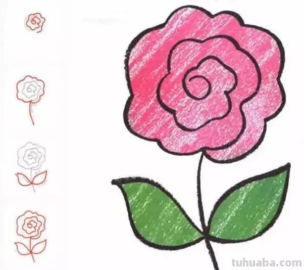 各种植物简笔画大全，小可爱们快来领走吧