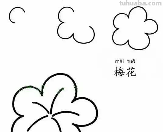 各种植物简笔画大全，小可爱们快来领走吧
