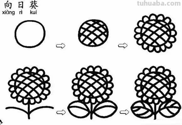 各种植物简笔画大全，小可爱们快来领走吧