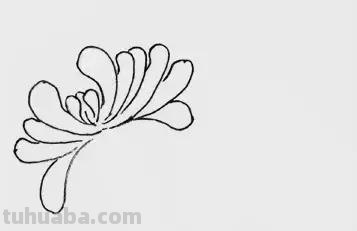 各种植物简笔画大全，小可爱们快来领走吧
