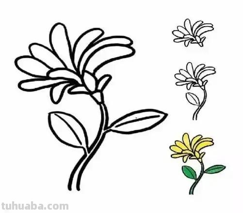 各种植物简笔画大全，小可爱们快来领走吧