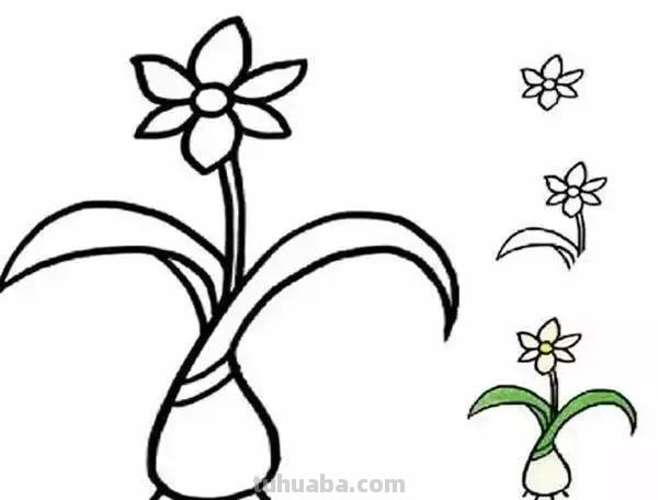 各种植物简笔画大全，小可爱们快来领走吧