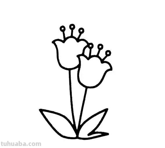 各种植物简笔画大全，小可爱们快来领走吧