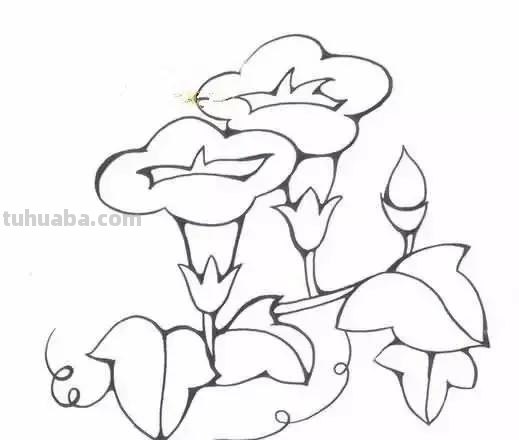 各种植物简笔画大全，小可爱们快来领走吧