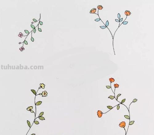 一组简单又实用的植物简笔画，收藏起来做手帐吧