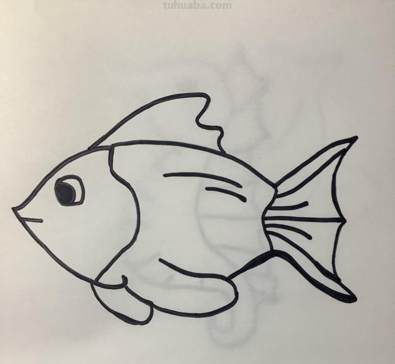 海洋动物简笔画教程，一学就会