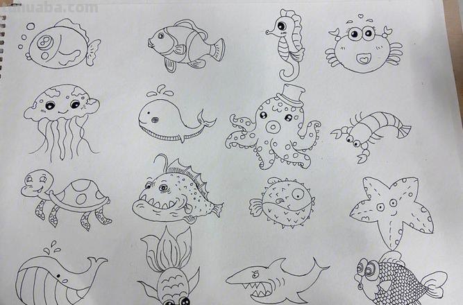 海洋动物简笔画教程，一学就会