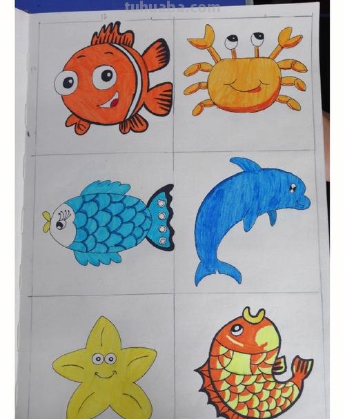 海洋动物简笔画教程，一学就会