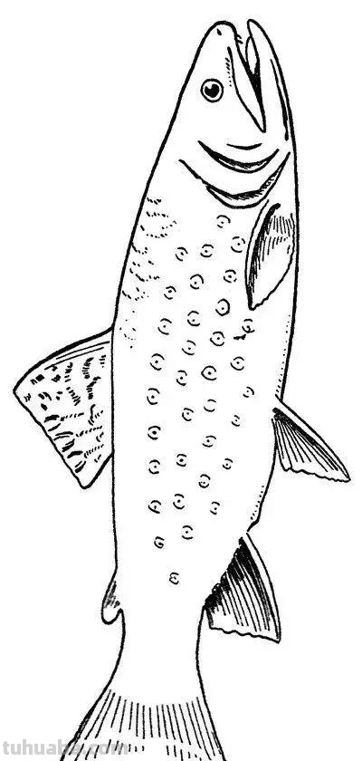 海洋动物简笔画教程，一学就会