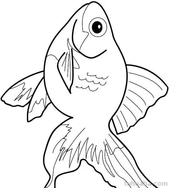 海洋动物简笔画教程，一学就会