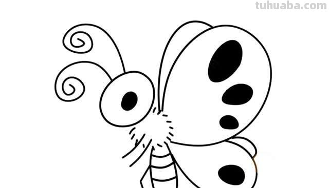 儿童简笔画精选「昆虫」-如何画一只漂亮的蝴蝶(Butterfly)