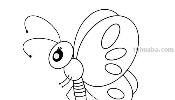 儿童简笔画精选「昆虫」-如何画一只漂亮的蝴蝶(Butterfly)