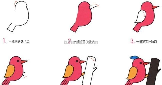 每天学一幅简笔画-啄木鸟动物简笔画步骤图片大全