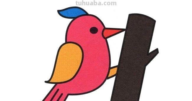 每天学一幅简笔画-啄木鸟动物简笔画步骤图片大全
