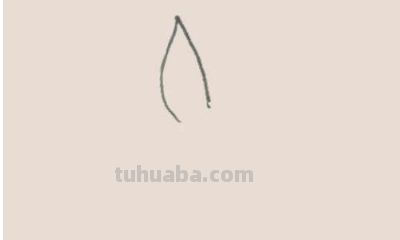 怎样画百合花简笔画