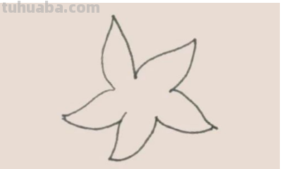 怎样画百合花简笔画