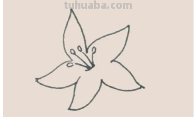 怎样画百合花简笔画