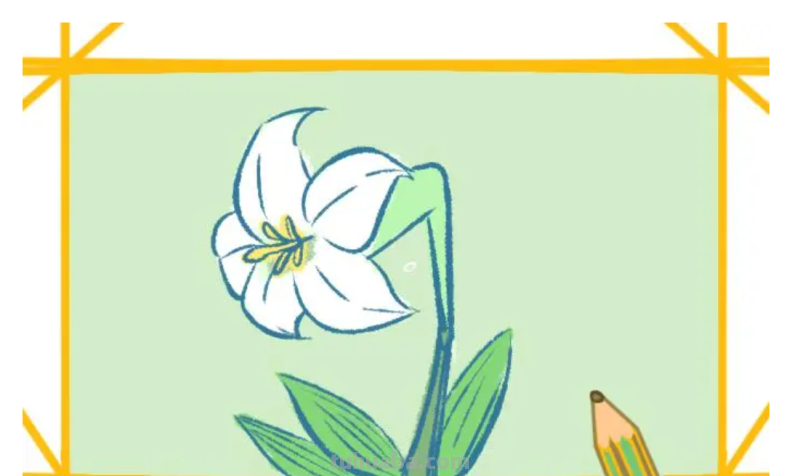 百合花的简笔画怎么画最好看又简单