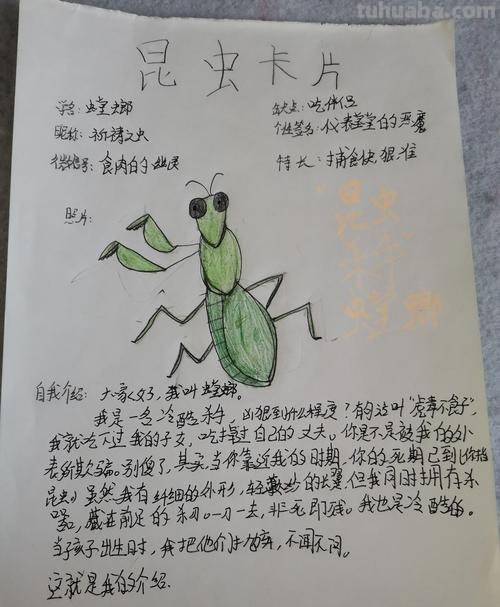 怎么写昆虫记的读书卡 怎样写昆虫记的记录卡？