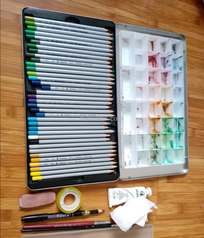 卡通彩铅小鸟怎么画 鸟语花香彩铅绘画步骤？