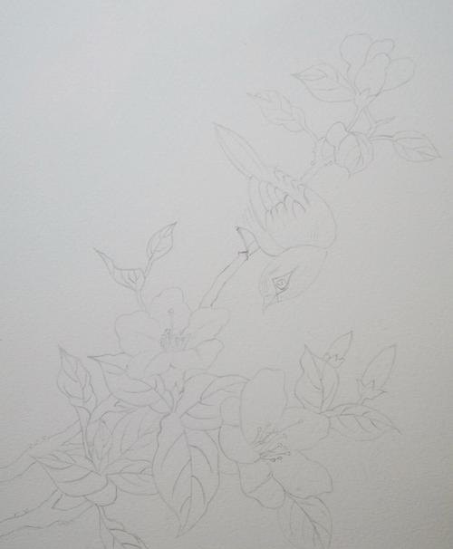 卡通彩铅小鸟怎么画 鸟语花香彩铅绘画步骤？