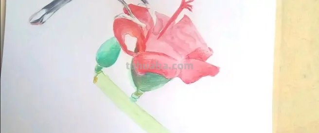 卡通彩铅小鸟怎么画 鸟语花香彩铅绘画步骤？