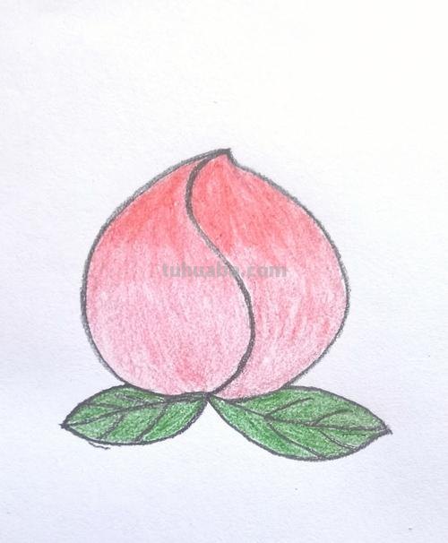 桃子简笔画 桃子简笔画图片