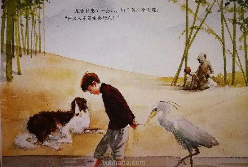 书单 - 7本“独立思考”绘本，孩子注定成为不平庸的人