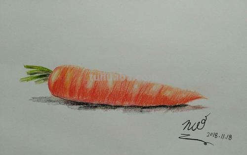 彩铅胡萝卜怎么画 水果蔬菜彩铅画教程？