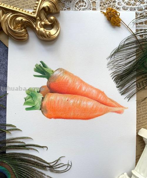 彩铅胡萝卜怎么画 水果蔬菜彩铅画教程？
