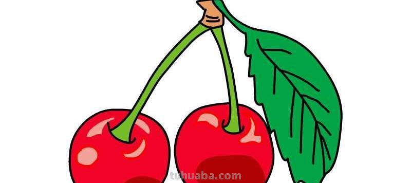 樱桃简笔画 樱桃简笔画图片