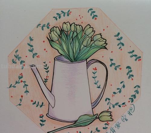 绘画｜彩铅画生活中的小物品，简约清新又富有生活气息