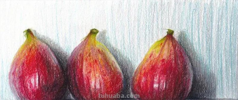 绘画｜彩铅画生活中的小物品，简约清新又富有生活气息