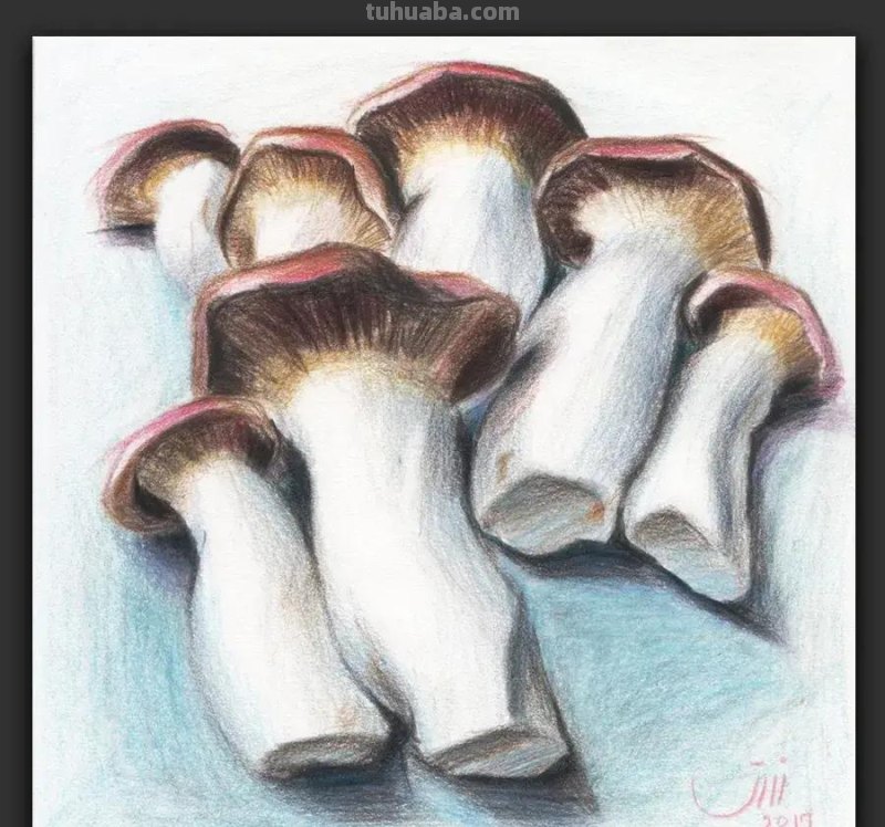 绘画｜彩铅画生活中的小物品，简约清新又富有生活气息