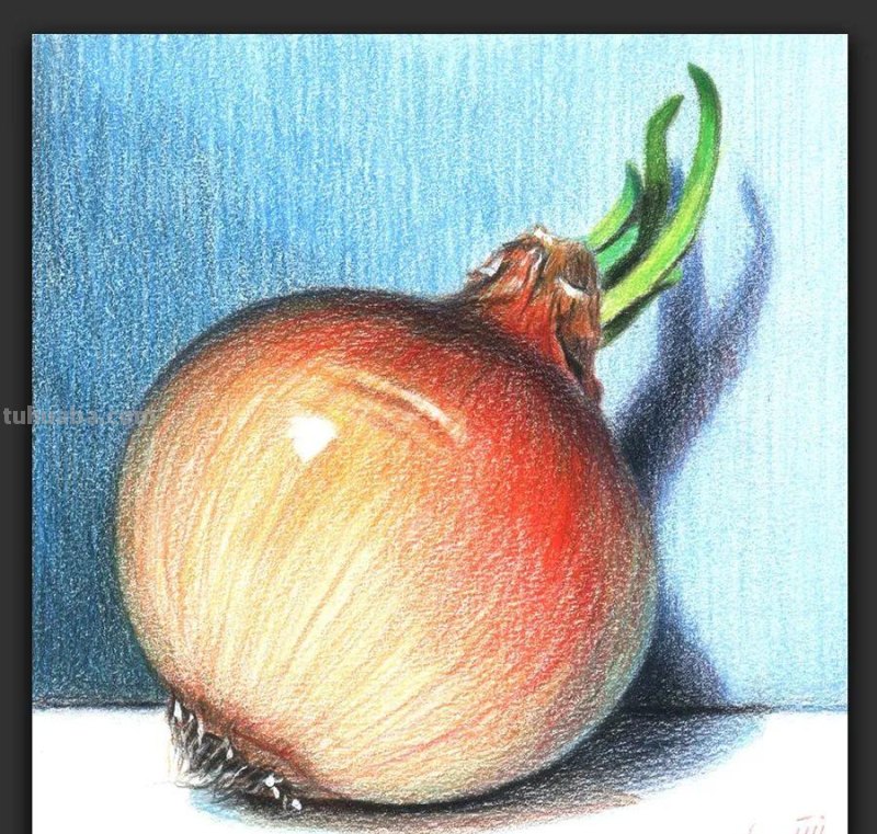 绘画｜彩铅画生活中的小物品，简约清新又富有生活气息