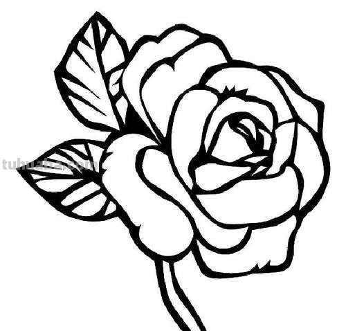 如何画玫瑰花简笔画 如何画玫瑰花简笔画图片