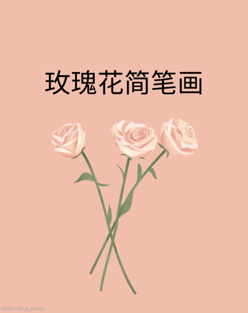 玫瑰花简笔画 玫瑰花简笔画