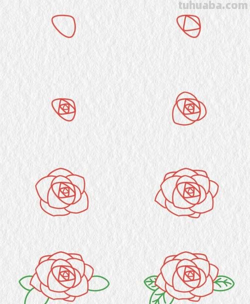 如何画玫瑰花简笔画 如何画玫瑰花简笔画图片