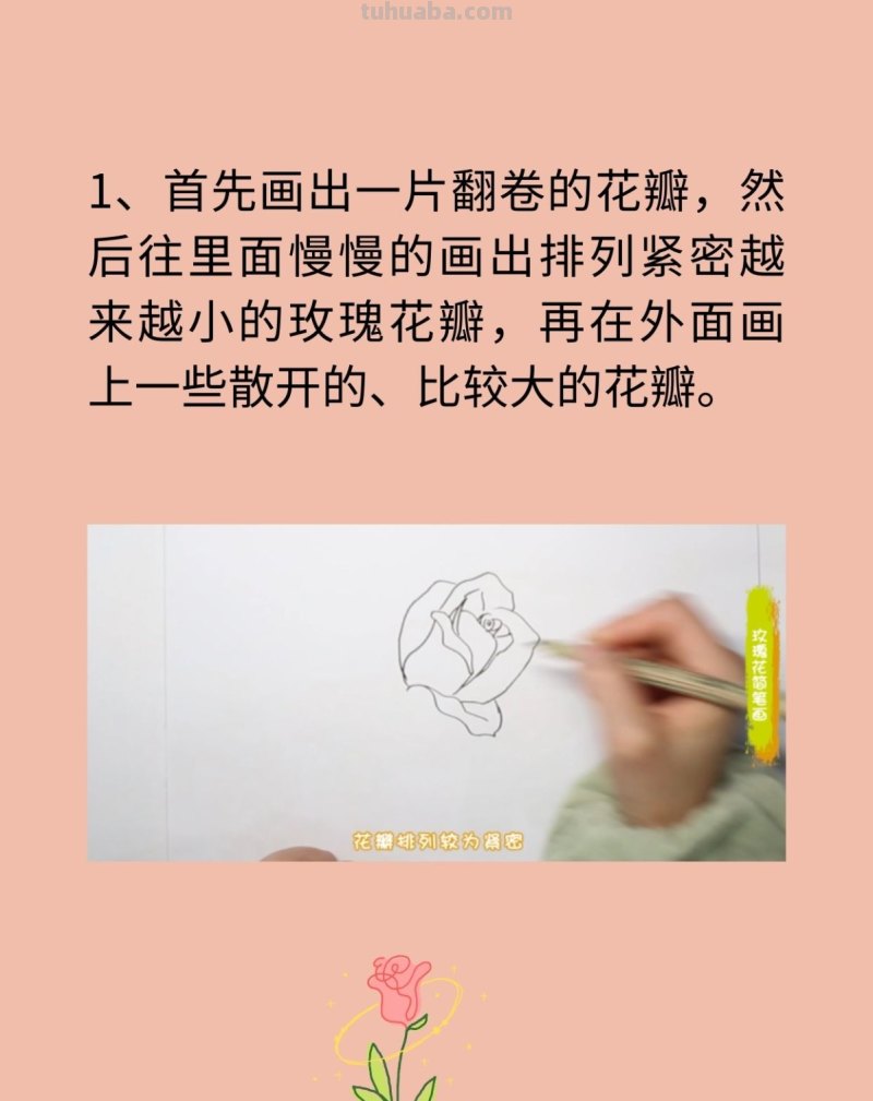 玫瑰花简笔画 玫瑰花简笔画