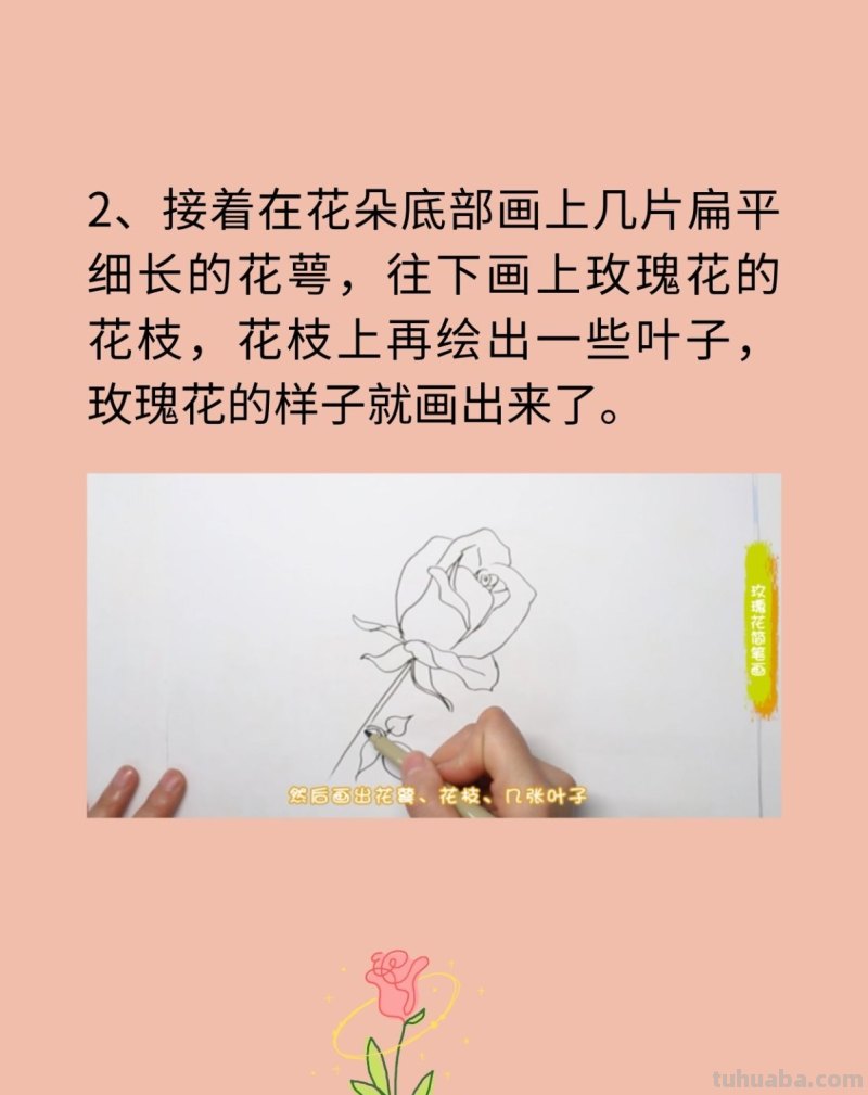 玫瑰花简笔画 玫瑰花简笔画