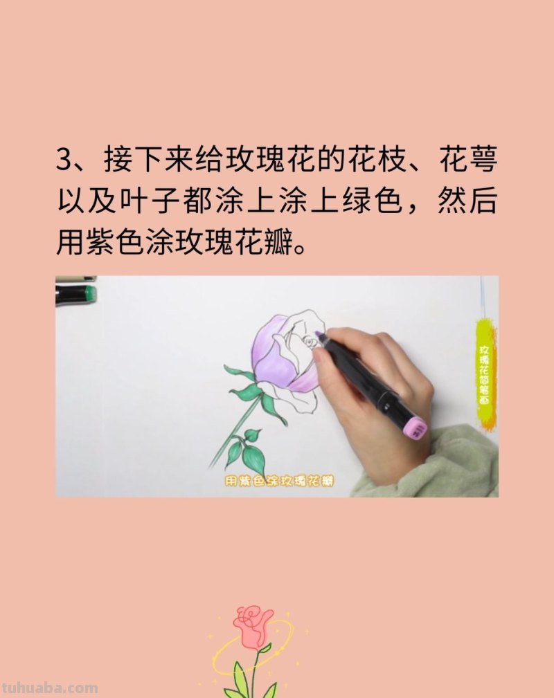 玫瑰花简笔画 玫瑰花简笔画