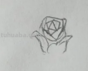 玫瑰花怎么画简笔画 玫瑰花怎么画简笔画