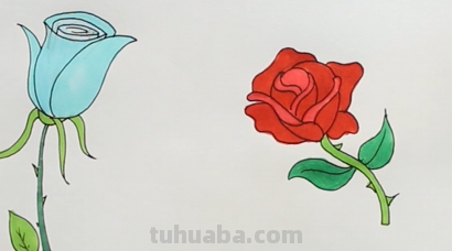 玫瑰花的简笔画怎么画最好看又简单 玫瑰花的简笔画怎么画最好看又简单