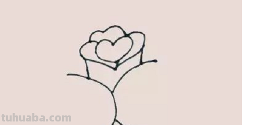 玫瑰简笔画怎么画 玫瑰简笔画怎么画