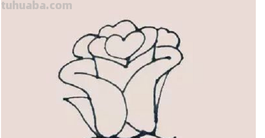 玫瑰简笔画怎么画 玫瑰简笔画怎么画