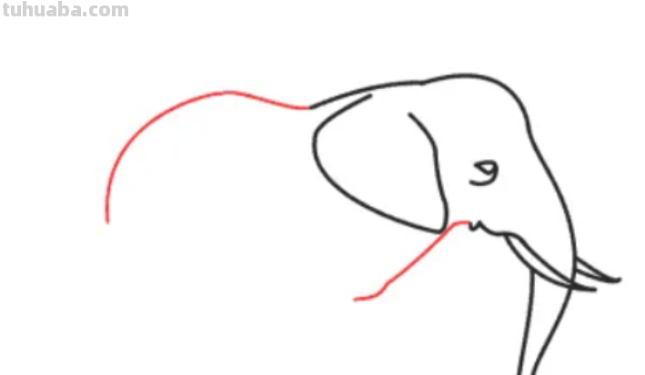 怎么画大象